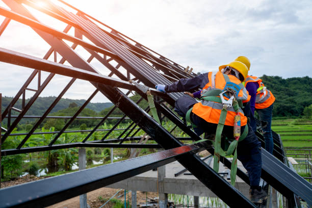 Best Roof Restoration Services  in Rowland, NC