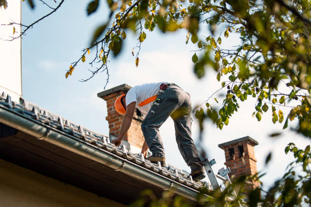 Best Storm Damage Roof Repair  in Rowland, NC