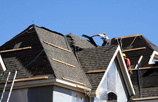 Best Metal Roofing Contractor  in Rowland, NC