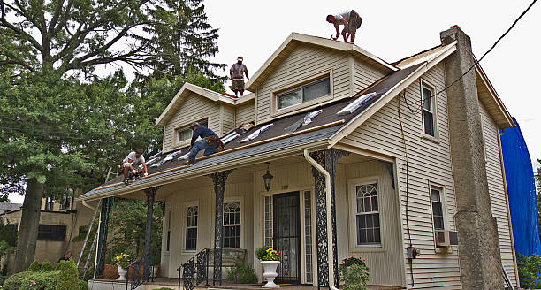 Best Roof Repair Services  in Rowland, NC
